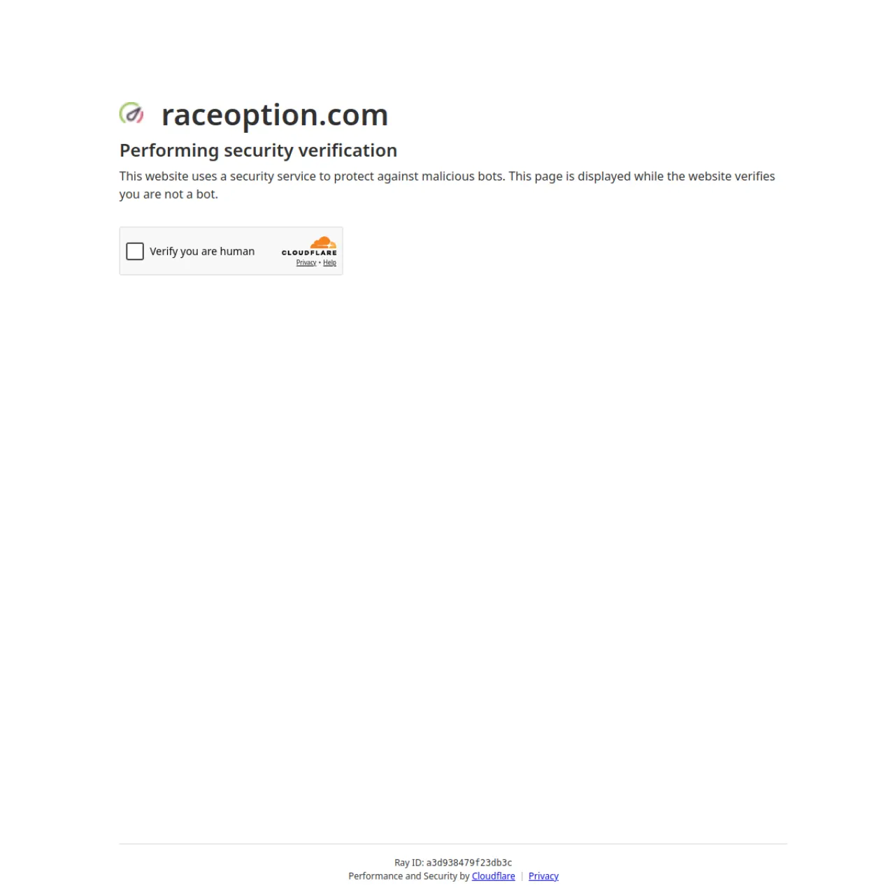 RaceOption website screenshot