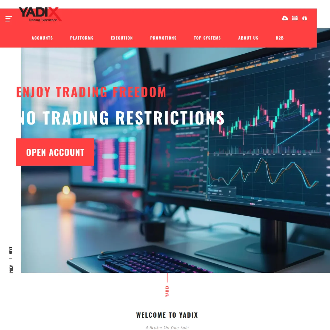 Yadix website screenshot