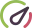RaceOption logo