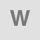 WSM Capital logo